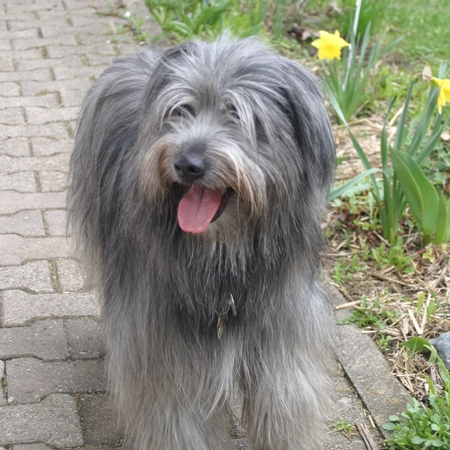 02 Florian im April 2006